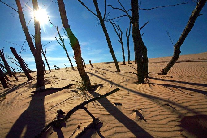 Slowinski National Park Private Tour - A guide named Mirek and the value of a flexible route