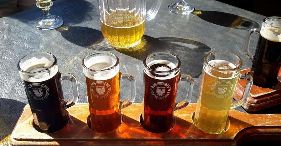 Szczecin Polish Beer and Food Tasting Private Tour - The three-hour route: eleven beers and three local stops