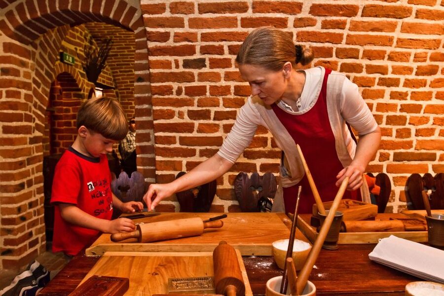Torun: Private Walking Tour of a Medieval Town - Copernicus House and the astronomer’s Torun