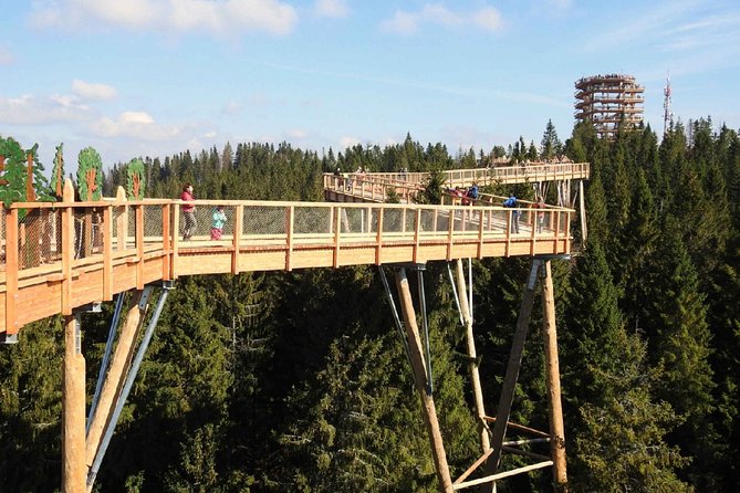 Treetop Walk in Slovakia and Thermal Baths from Krakow - Two mountain countries in one long day