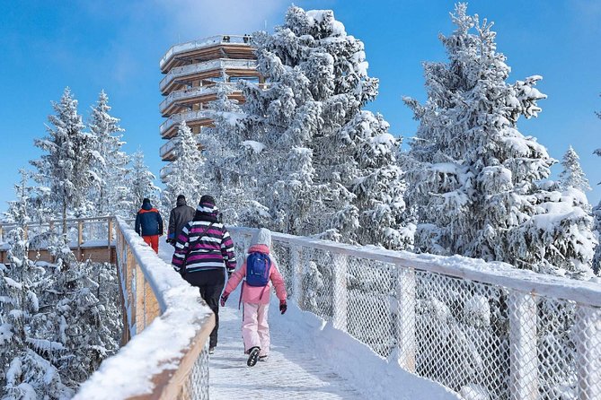 Treetop Walk in Slovakia and Thermal Baths from Krakow - Bachledka’s treetop route and Tatra views