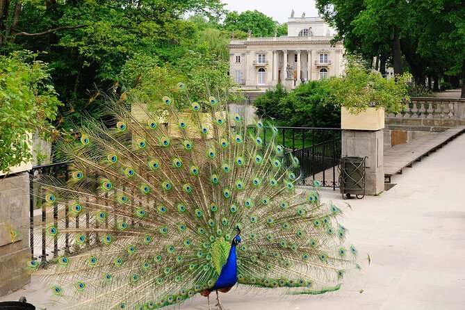 Warsaw City Tour - PRIVATE (4h) - Theatre Square and the Tomb of the Unknown Soldier