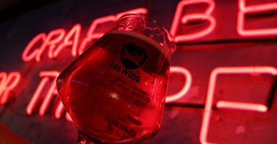 Warsaw: Guided Craft Beer Tour - Key points to know before booking