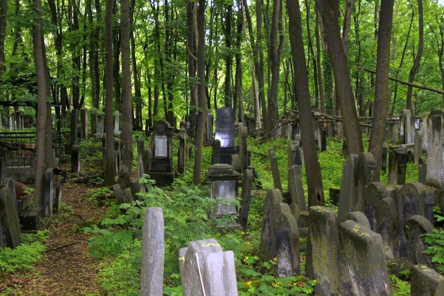 Warsaw Jewish Heritage Private Tour in Retro Fiat - Price, timing, and practical value