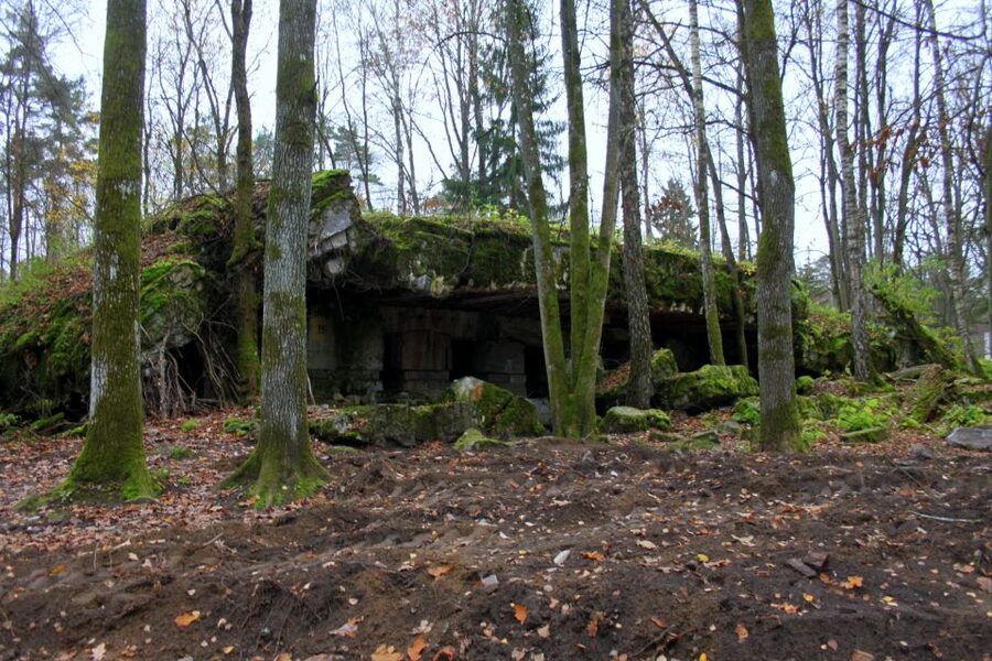 Warsaw: Private Full-Day Wolf's Lair Tour - Why Wolf’s Lair matters