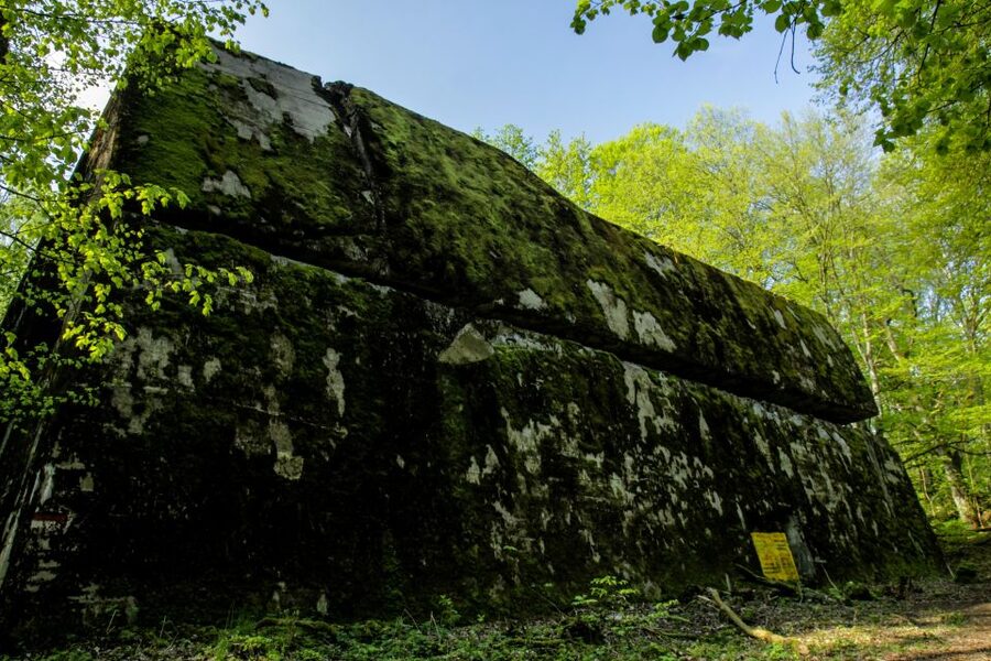 Warsaw: Private Full-Day Wolf's Lair Tour - Walking through the ruined headquarters