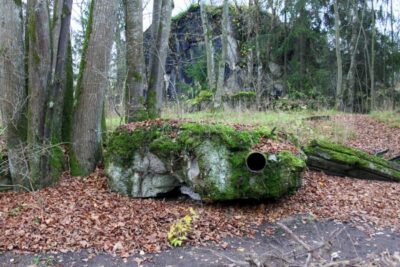 Private Full-Day Wolf’s Lair Tour