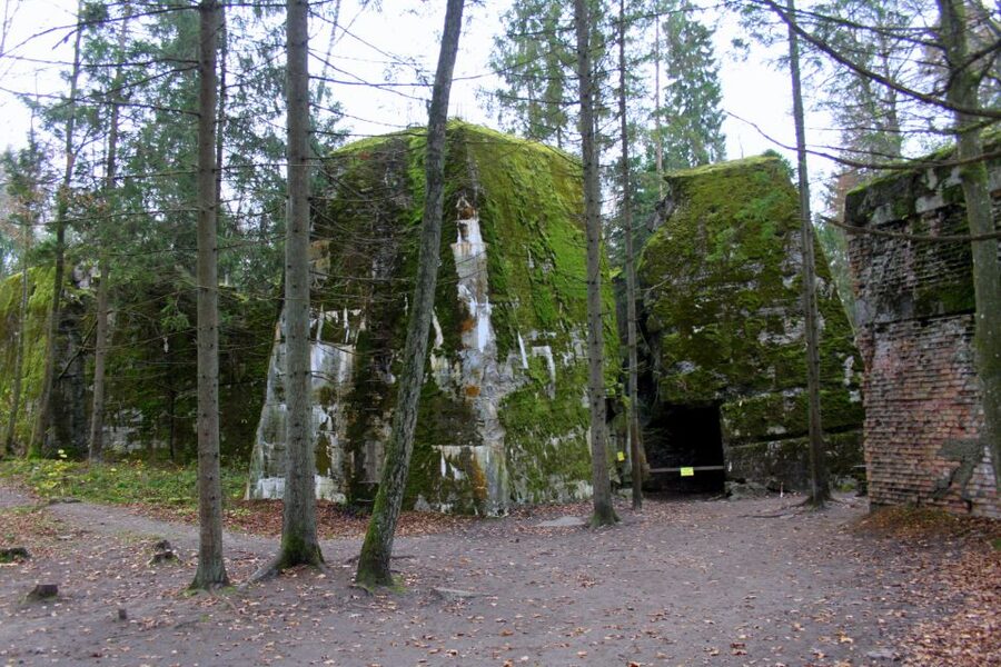 Warsaw: Private Full-Day Wolf's Lair Tour - Lunch, transport, and the $382 price