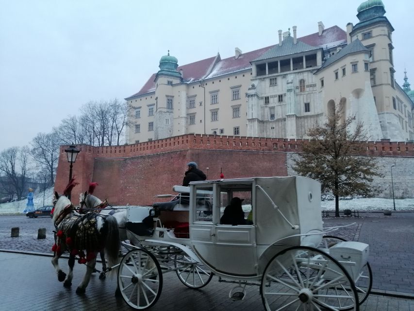 Warsaw: Tour to Krakow and Auschwitz by Train with Pickup - Key points at a glance