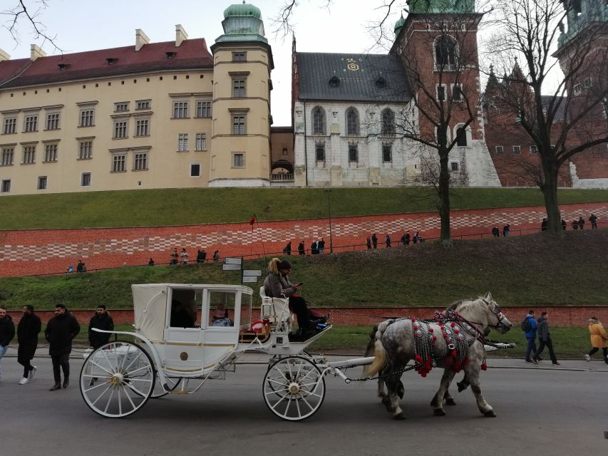 Warsaw: Tour to Krakow and Auschwitz by Train with Pickup - The train journey from Warsaw to Krakow