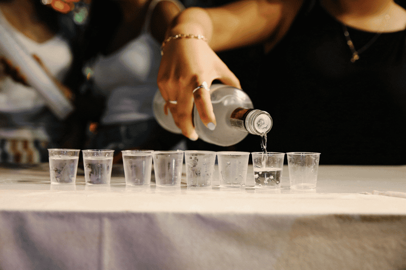 Warsaw: Vodka Tour - How the tasting and lessons work