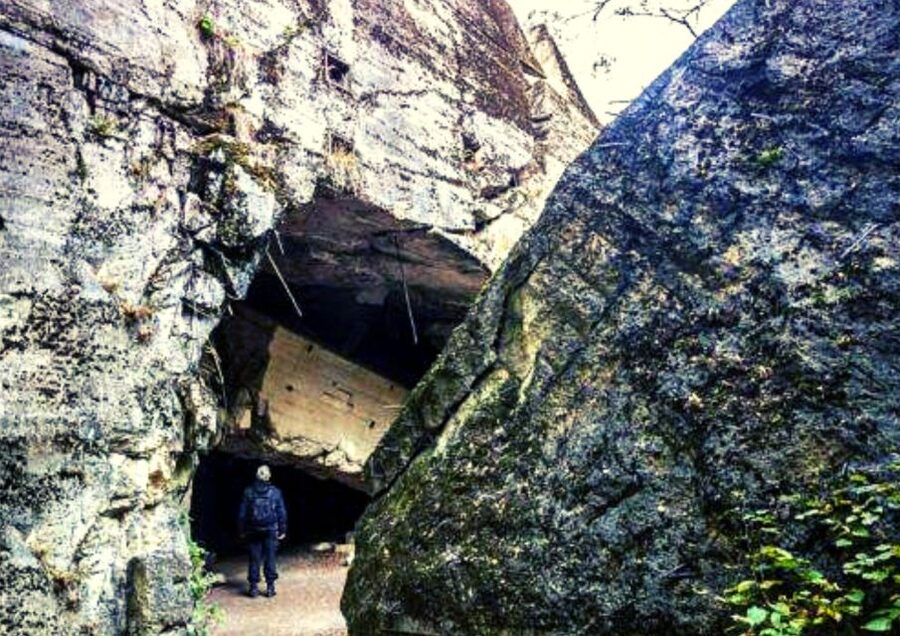 Warsaw: Wolf's Lair & Swieta Lipka Small-Group Tour + Lunch - Lunch with pierogi and a short reset