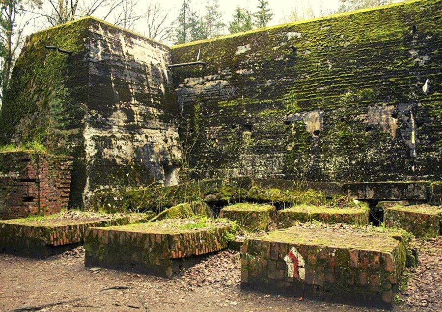 Warsaw: Wolf's Lair & Swieta Lipka Small-Group Tour + Lunch - Is $370 a fair price?