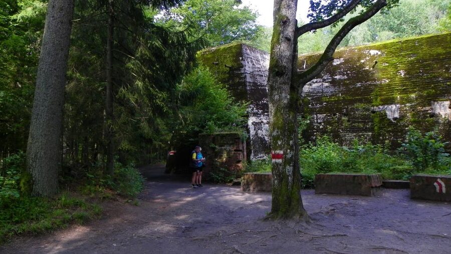 Warsaw Wolf’s Lair with St. Lipka and Mamerki Private Guided - Should you book this Warsaw to Wolf’s Lair tour?