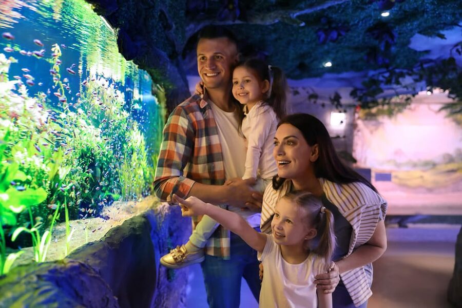 Warsaw Zoo Skip-the-Line Entry Ticket with Private Transport - Is $89 per person a fair price?