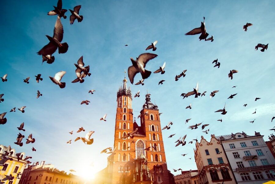 Wawel Castle & Cathedral Skip the Line Small Group Tour - Why Wawel works best with a guide