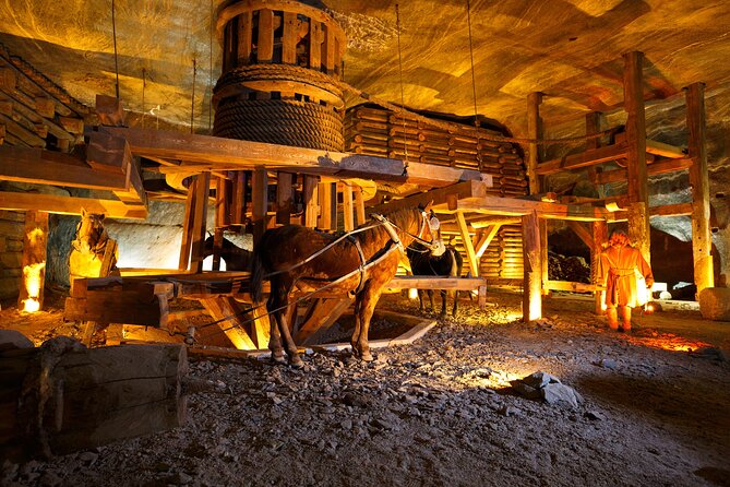 Wieliczka Salt Mine - Private Tour from Krakow - Who Will Enjoy This Underground Visit