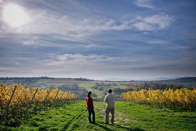 Wieliczka Vineyard: Wine tasting with local snacks - Key points to know before booking
