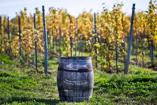 Wieliczka Vineyard: Wine tasting with local snacks - Tasting four wines with local seasonal snacks