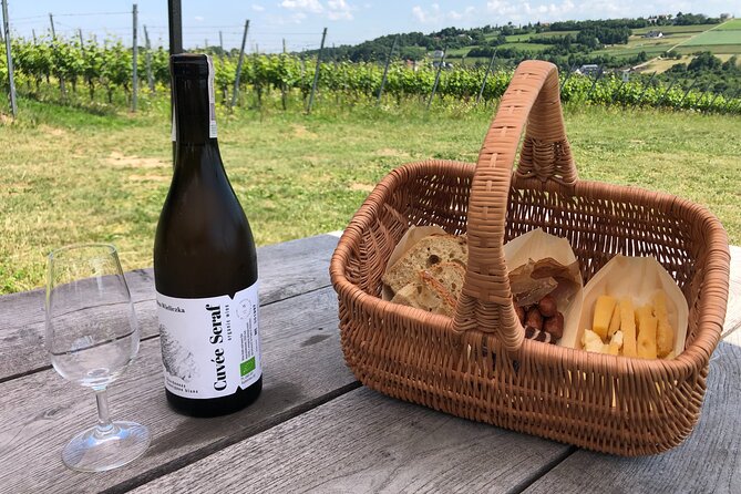 Wieliczka Vineyard: Wine tasting with local snacks - Timing, weather, and the practical details