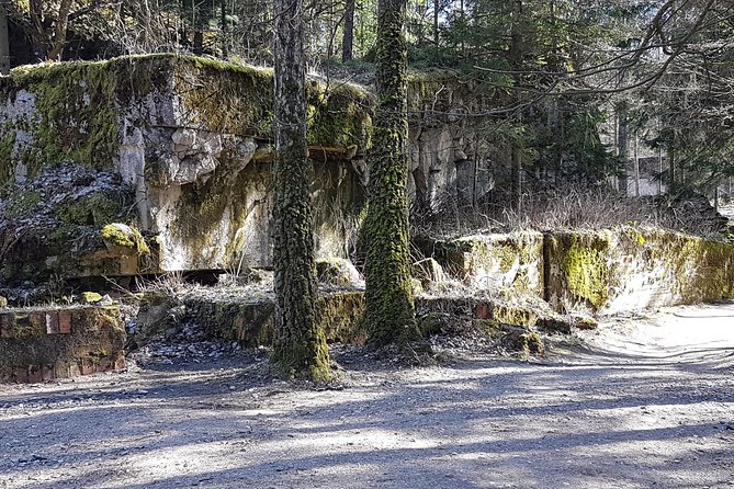 Wolf's Lair & Treblinka Tour in 1 day from Warsaw - Walking through Wolf’s Lair after 80 years