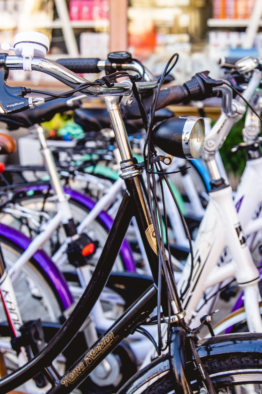Wrocław Bike Rental - Parks, levees, and the Oder River