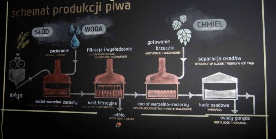 Wroclaw: Guided Tour & Beer Tasting (2 hours) - What the private format adds