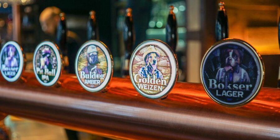 Wroclaw: Guided Tour & Beer Tasting (2 hours) - St. Elizabeth’s Church and the Engler Organ