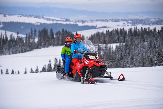 Zakopane: 3 hours Snowmobiles Guided Tour with bonfire and meal - Riding from Kościelisko into the Tatra foothills