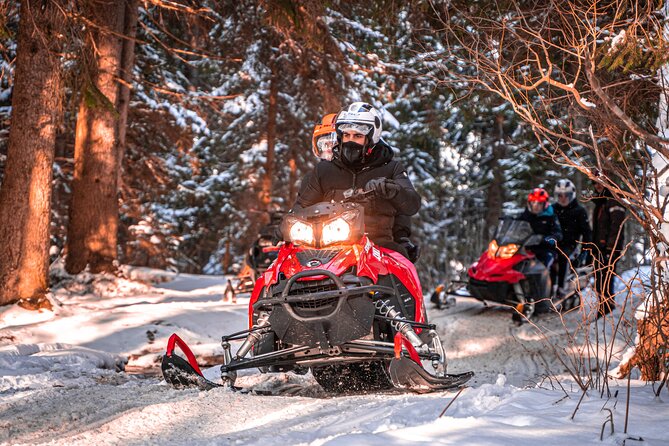 Zakopane: 3 hours Snowmobiles Guided Tour with bonfire and meal - What the snowmobile assignment means for you