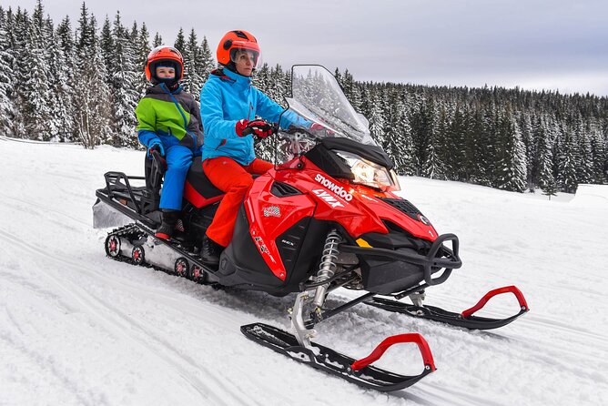 Zakopane: 3 hours Snowmobiles Guided Tour with bonfire and meal - Who will enjoy this three-hour adventure