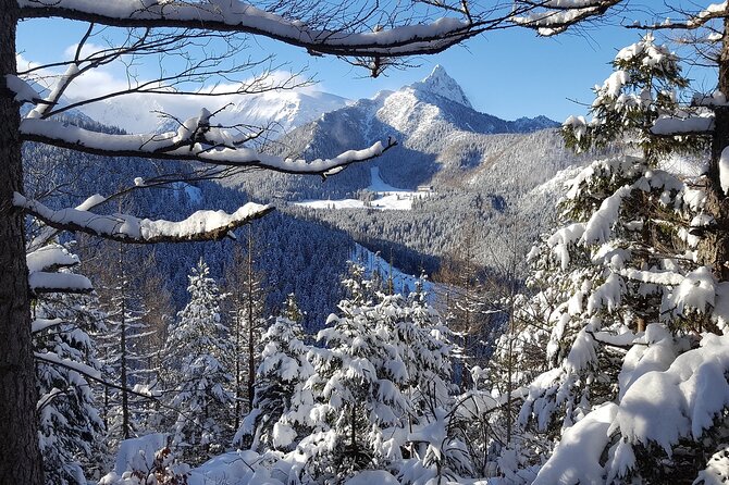 Zakopane & Gubalowka Funicular - Private Winter Tour from Krakow - Chocholow and its wooden highlander houses
