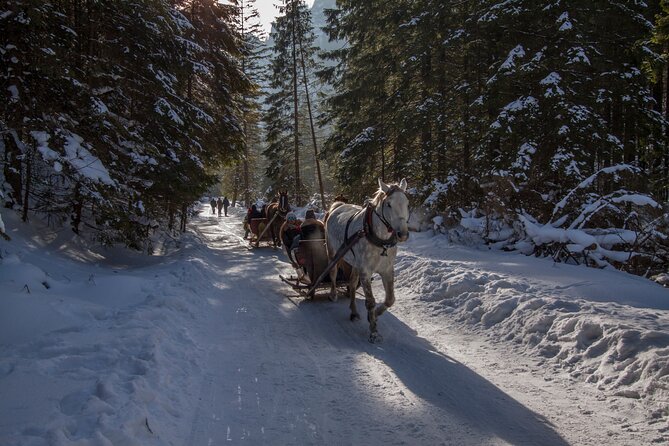 Zakopane Horse-Drawn Rides with Local Guide and Food Tasting - The bonfire, sausage, and oscypek