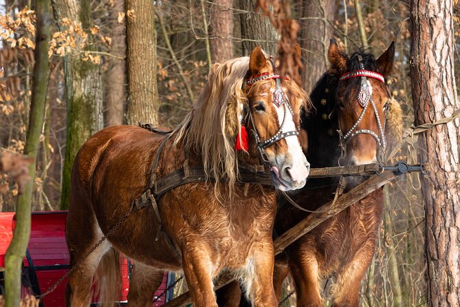 Zakopane Horse-Drawn Rides with Local Guide and Food Tasting - The role of the driver and guide