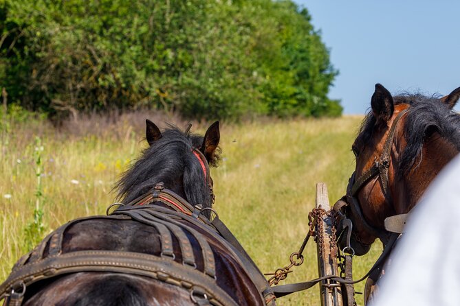 Zakopane Horse-Drawn Rides with Local Guide and Food Tasting - Is the experience good value?