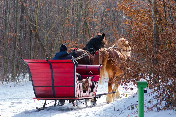 Zakopane Horse-Drawn Rides with Local Guide and Food Tasting - Who should book this evening outing?
