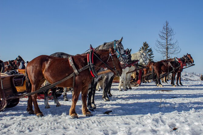 Zakopane Horse-Drawn Rides with Local Guide and Food Tasting - The winter sleigh option