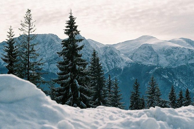Zakopane private tour from Krakow with Thermal Baths - What the private minivan adds