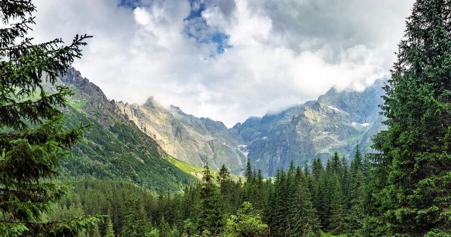 Zakopane: Sightseeing Tour from Krakow - What the $105 price really covers