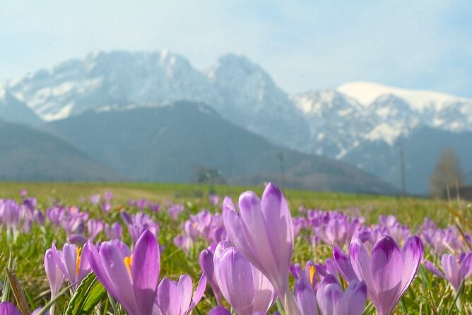 Zakopane & Tatra Mountains - Chocholow’s timber houses