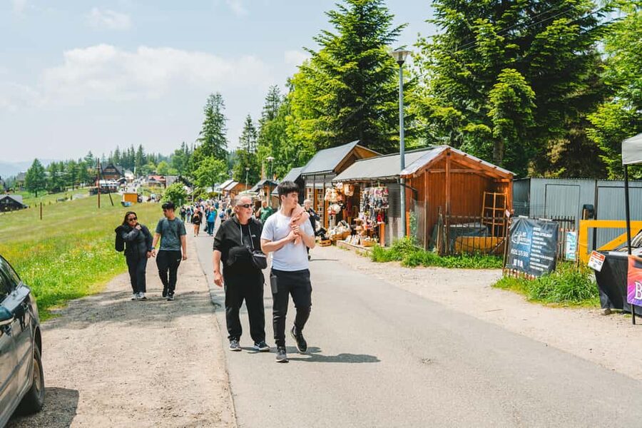 Zakopane & Tatra Mountains from Krakow – Guided Tour - Who should book this experience