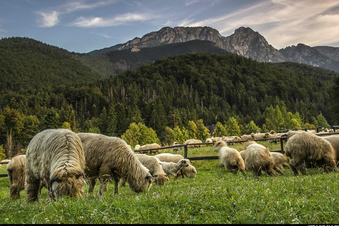 Zakopane & Thermal Springs: Private Tour - Chochołów and the craft of Oscypek