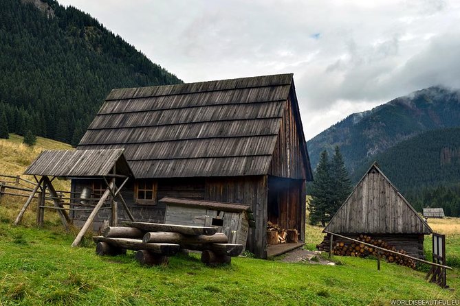 Zakopane & Thermal Springs: Private Tour - Three hours at Chocholowskie Thermal Baths
