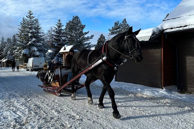 Zakopane Tour from Krakow with Thermal SPA and Hotel Pick up - Why this Krakow to Zakopane day works